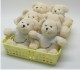 Teddys